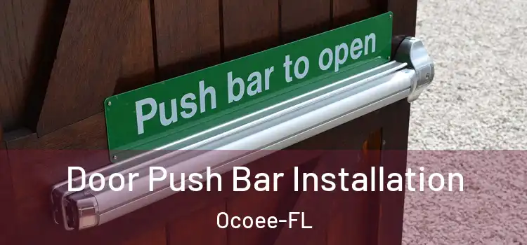 Door Push Bar Installation Ocoee-FL