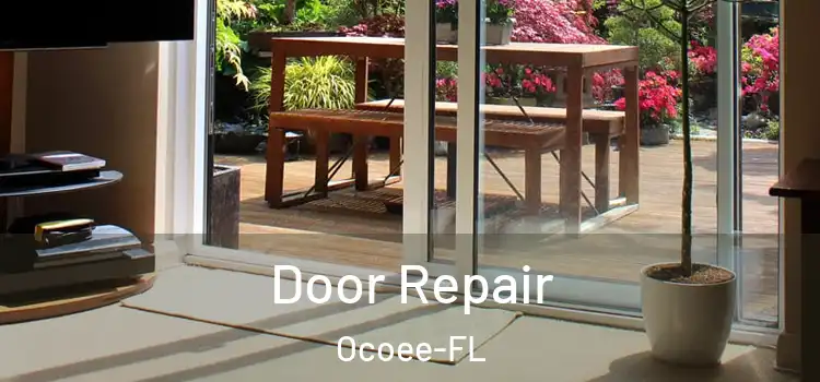 Door Repair Ocoee-FL