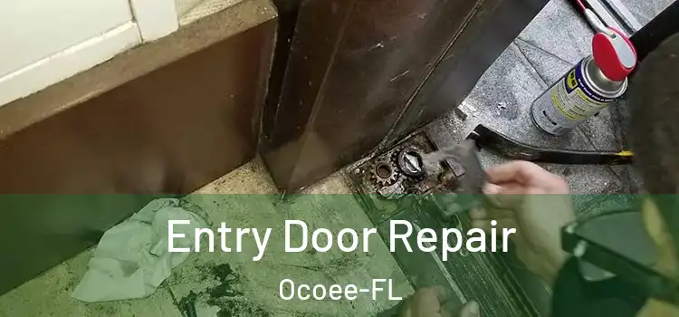 Entry Door Repair Ocoee-FL