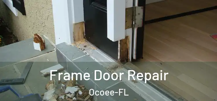 Frame Door Repair Ocoee-FL