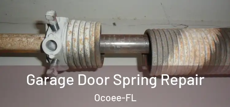 Garage Door Spring Repair Ocoee-FL
