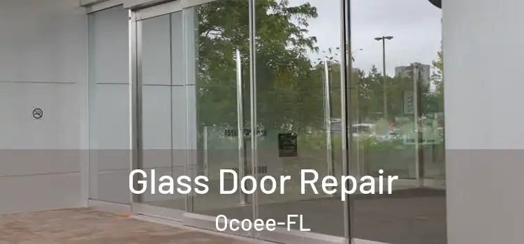 Glass Door Repair Ocoee-FL