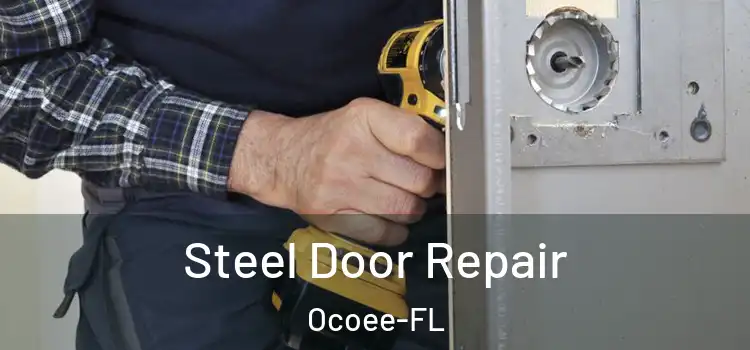 Steel Door Repair Ocoee-FL
