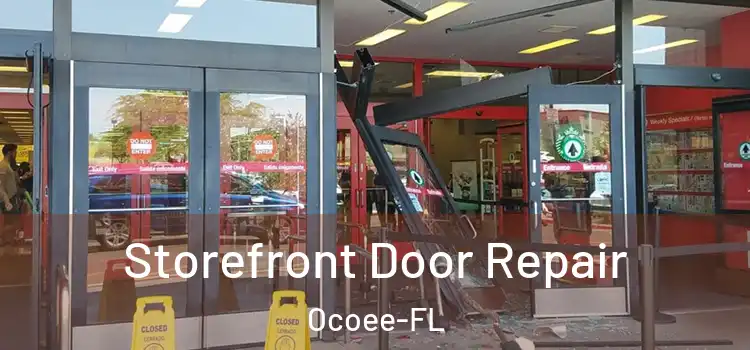 Storefront Door Repair Ocoee-FL